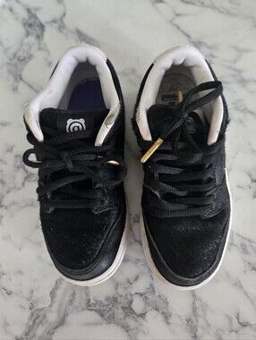 Nike SB Dunk Low Medicom Toy